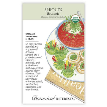 Sprouts 'Broccoli'