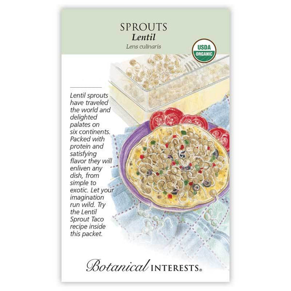 Sprouts 'Lentil'