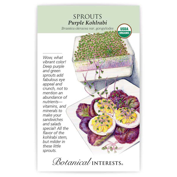 Sprouts 'Purple Kohlrabi'