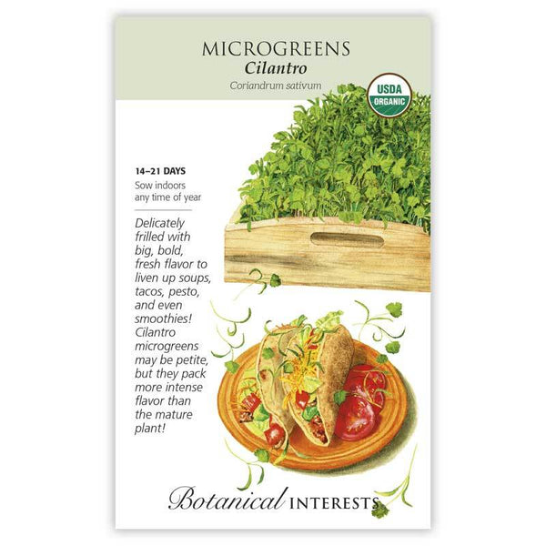 Microgreens 'Cilantro'