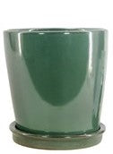 Tall Indoor Pot - 5.5"