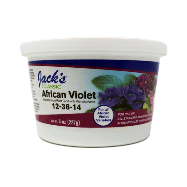 Jacks African Violet 12-36-14
