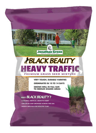 Black Beauty Heavy Traffic Grass Seed