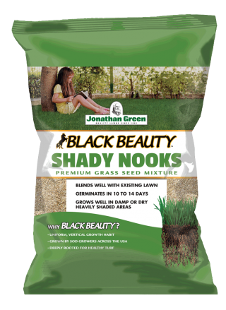 Black Beauty Shady Nooks Grass Seed