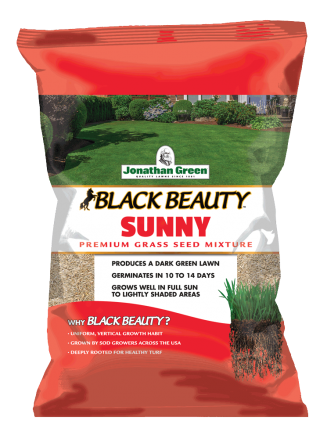 Black beauty grass deals seed