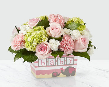 FTD Darling Baby Girl Bouquet