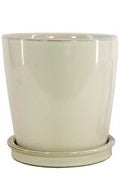Tall Indoor Pot - 5.5"
