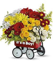 Teleflora Baby's Wow Wagon - Boy