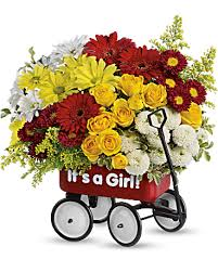 Teleflora Baby's Wow Wagon - Girl