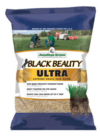Black Beauty Ultra Grass Seed