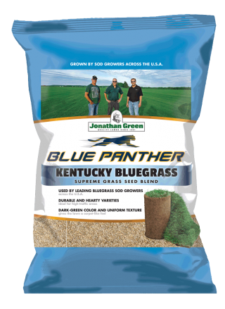 Blue Panther Kentucky Bluegrass Grass Seed