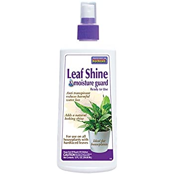 Bonide Leaf Shine