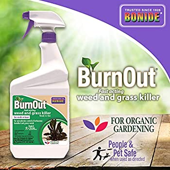 Bonide Burn Out Weed & Grass Killer 32oz