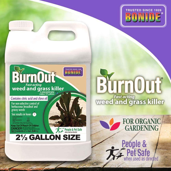 Bonide Burnout Weed & Grass Killer CONC QT