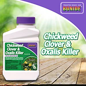 best herbicide for chickweed Bonide Chickweed, Clover & Oxalis Killer Conc