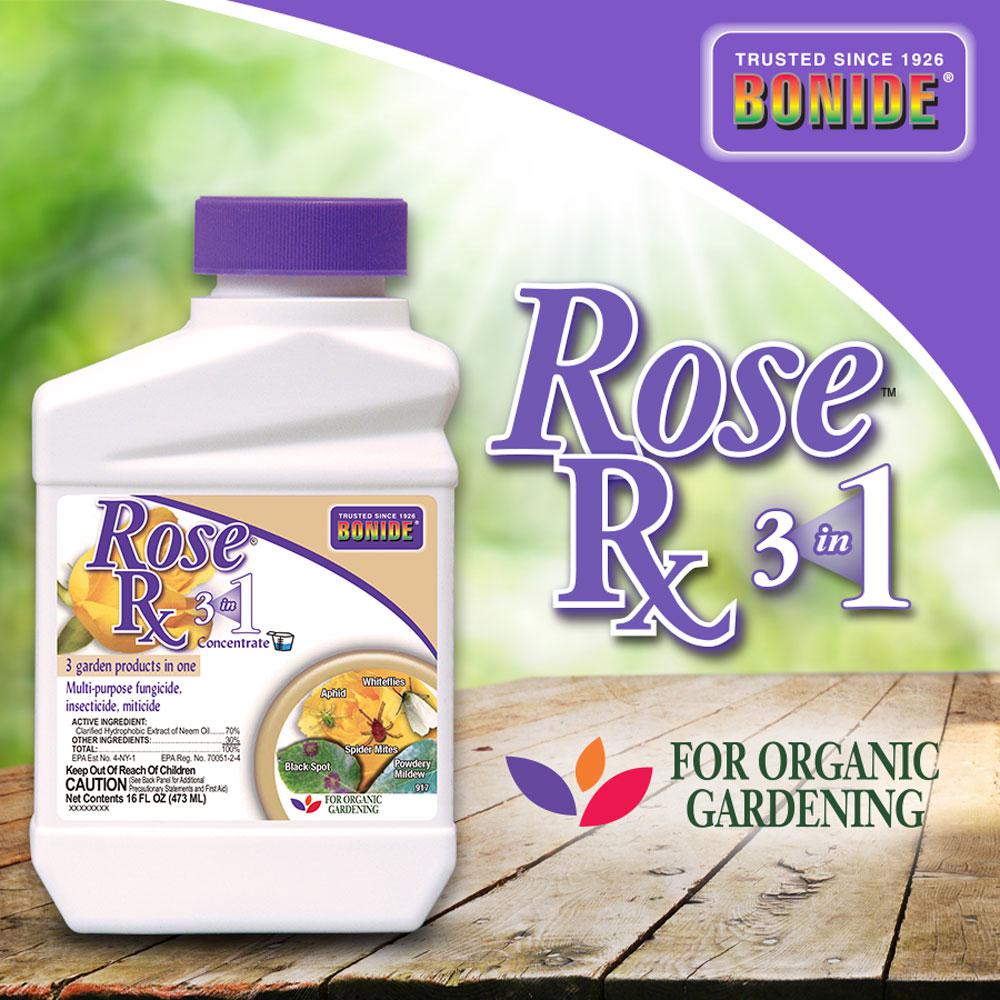 Bonide Rose RX 3in1 CONC PT | Pesches Flowers & Garden Center
