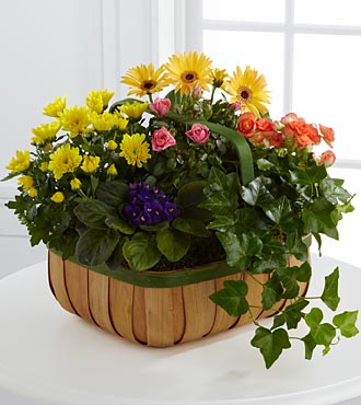 FTD Gentle Blossoms Basket | Pesches Flowers & Garden Center