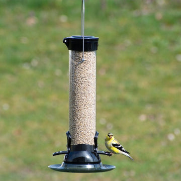 Droll Yankees Onyx Sunflower Bird Feeder