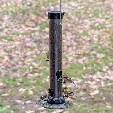 Droll Yankees Onyx Thistle Finch Feeder 18"