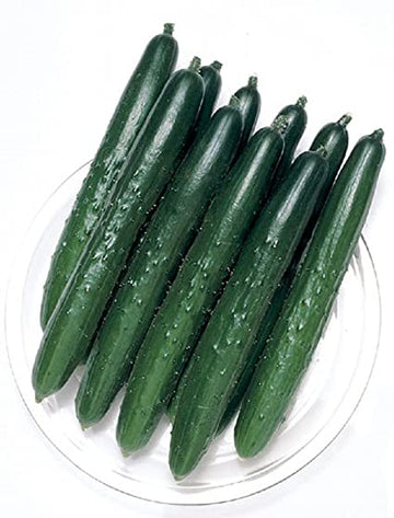 Cucumber 'Summer Top'