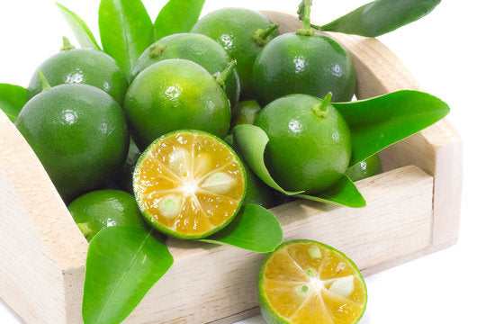 Calamondin