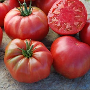 Tomato 'Caspian Pink'