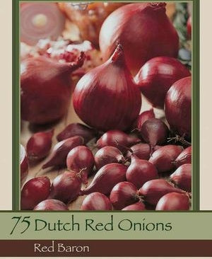 Dutch Onion Sets 'Red Baron'