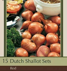 Dutch Shallot Sets 'Red'