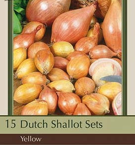 Dutch Shallot Sets 'Yellow'