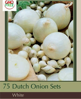 Dutch Onion Sets 'Snowball White'
