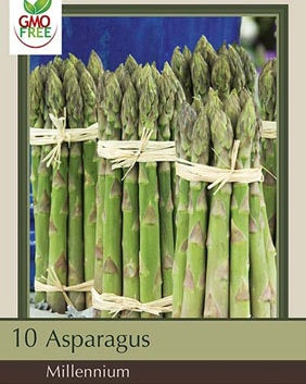 Asparagus 'Millennium' Crowns