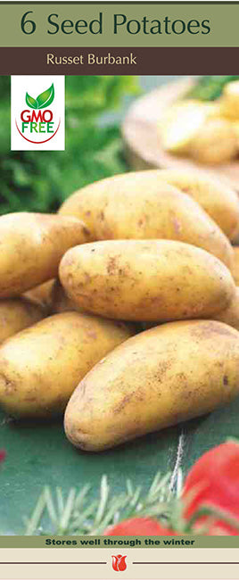 Potatoes 'Russet Burbank'