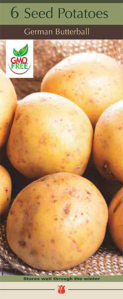 Potatoes 'German Butterball'