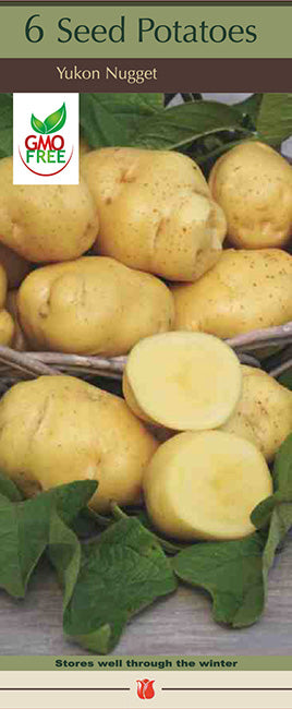 Potatoes 'Yukon Nugget'