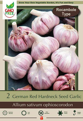 Garlic 'German Red' Hardneck