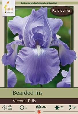 Iris germanica 'Victoria Falls'