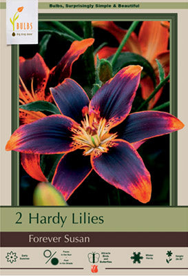 Lilium Asiatic 'Forever Susan'