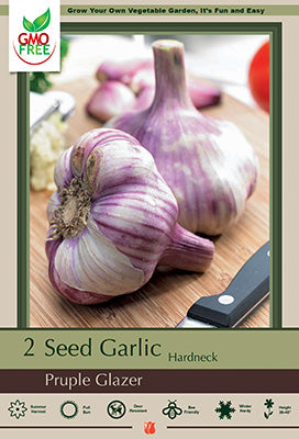 Garlic 'Purple Glazer Hardneck'