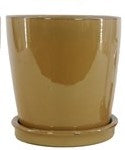 Tall Indoor Pot - 5.5"