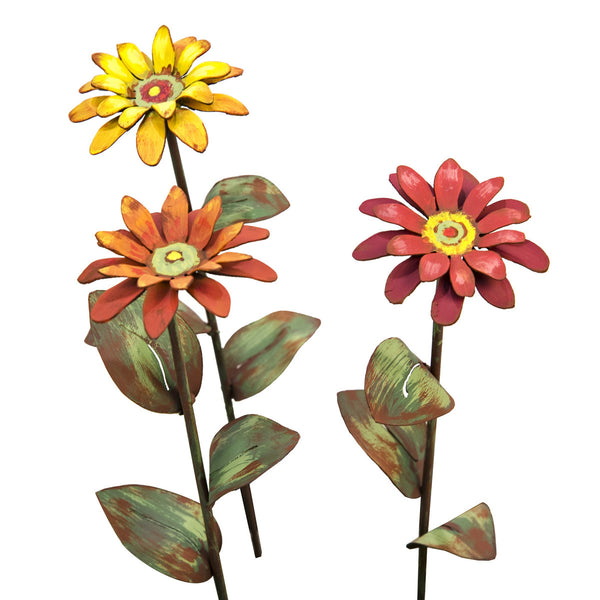 Picks: Chrysanthemums