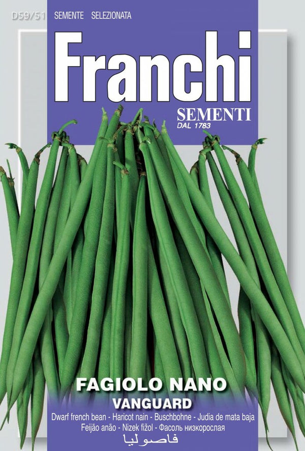 Bean 'Vanguard'