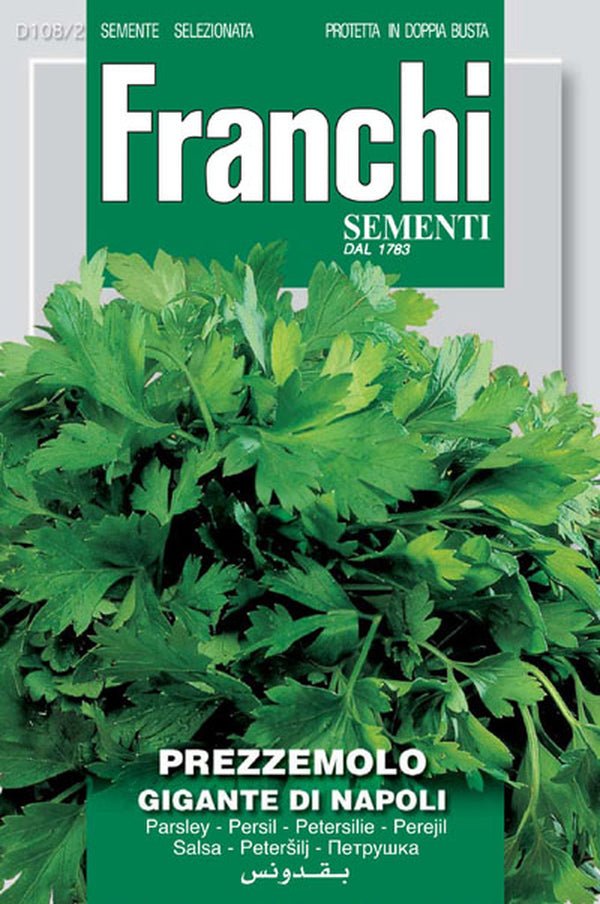 Parsley 'Gigante di Napoli'
