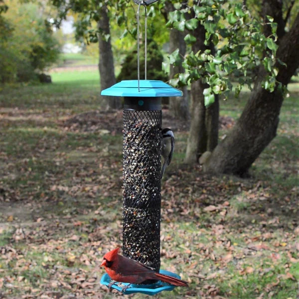 Funnel Flip-Top Mesh Sunflower Feeder (FFM2)