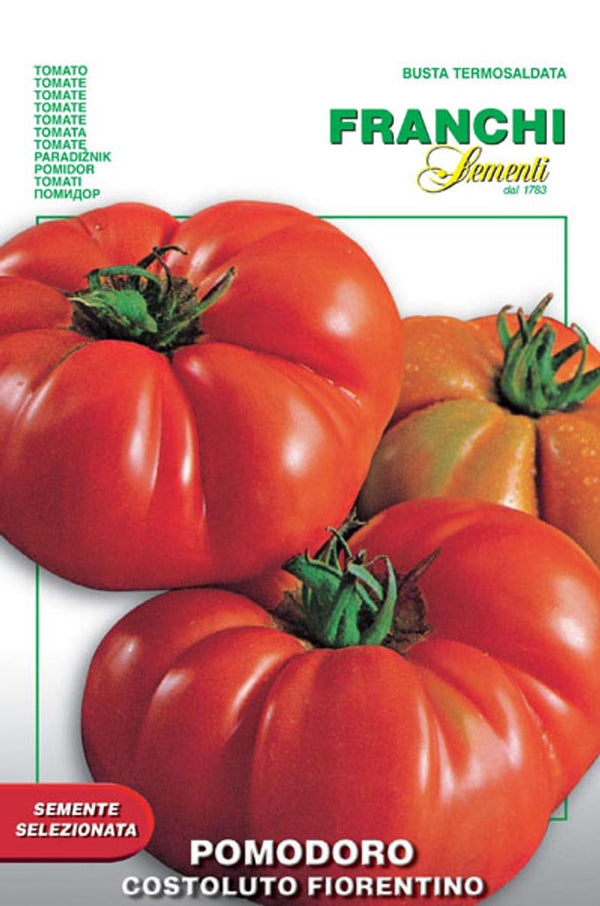 Tomato 'Costoluto Fiorentino'