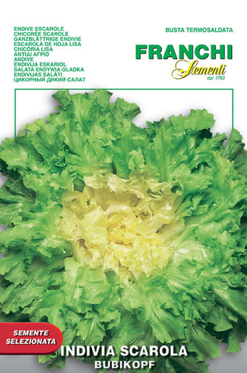 Escarole 'Bubikopf'