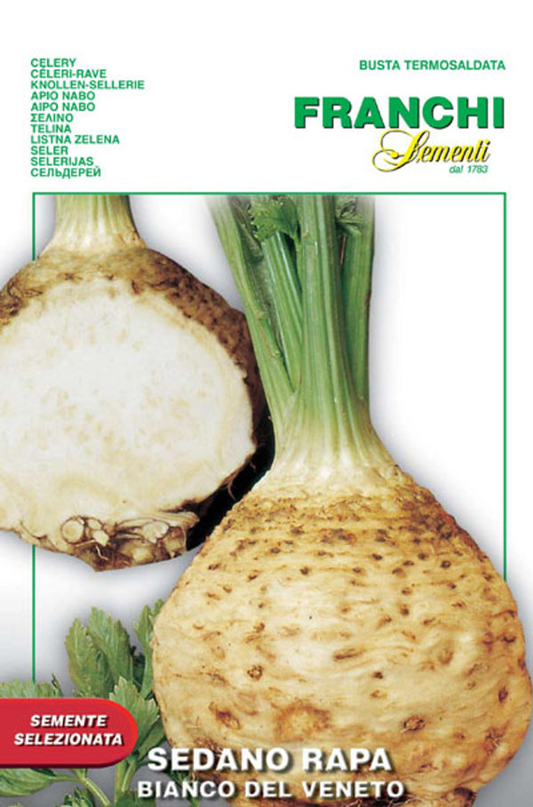 Celeriac 'Bianco del Veneto'