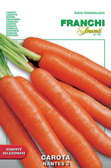 Carrot 'Nantes'