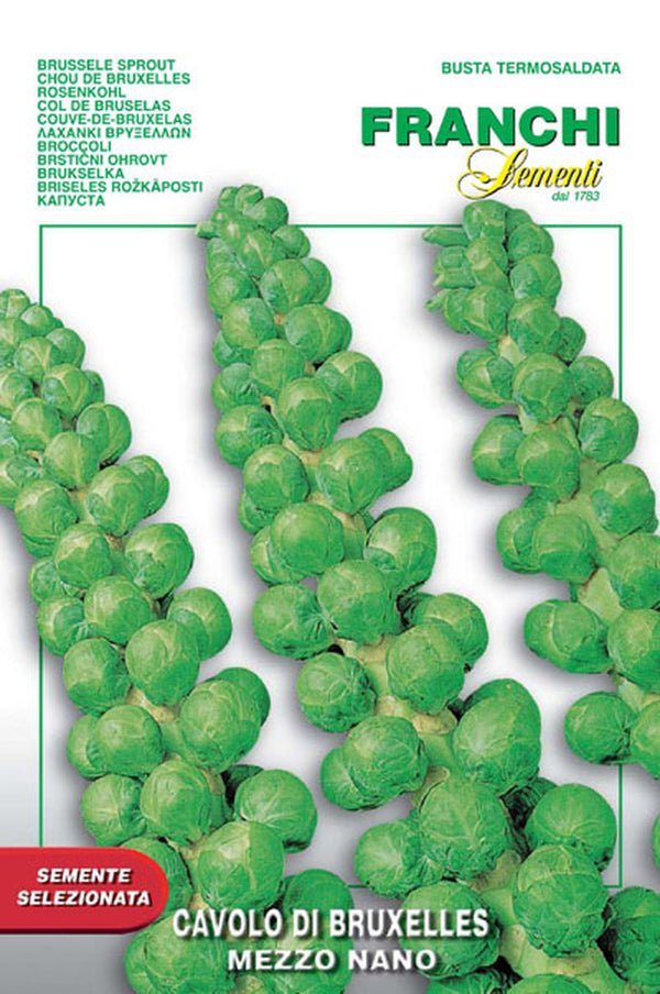 Brussels Sprouts 'Mezzo Nano'
