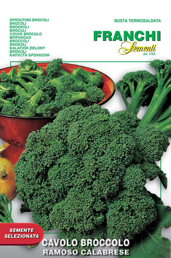 Broccoli 'Ramoso Calabrese'