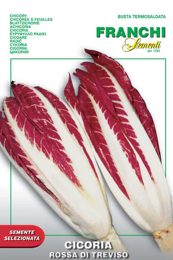 Radicchio 'Rossa di Treviso'